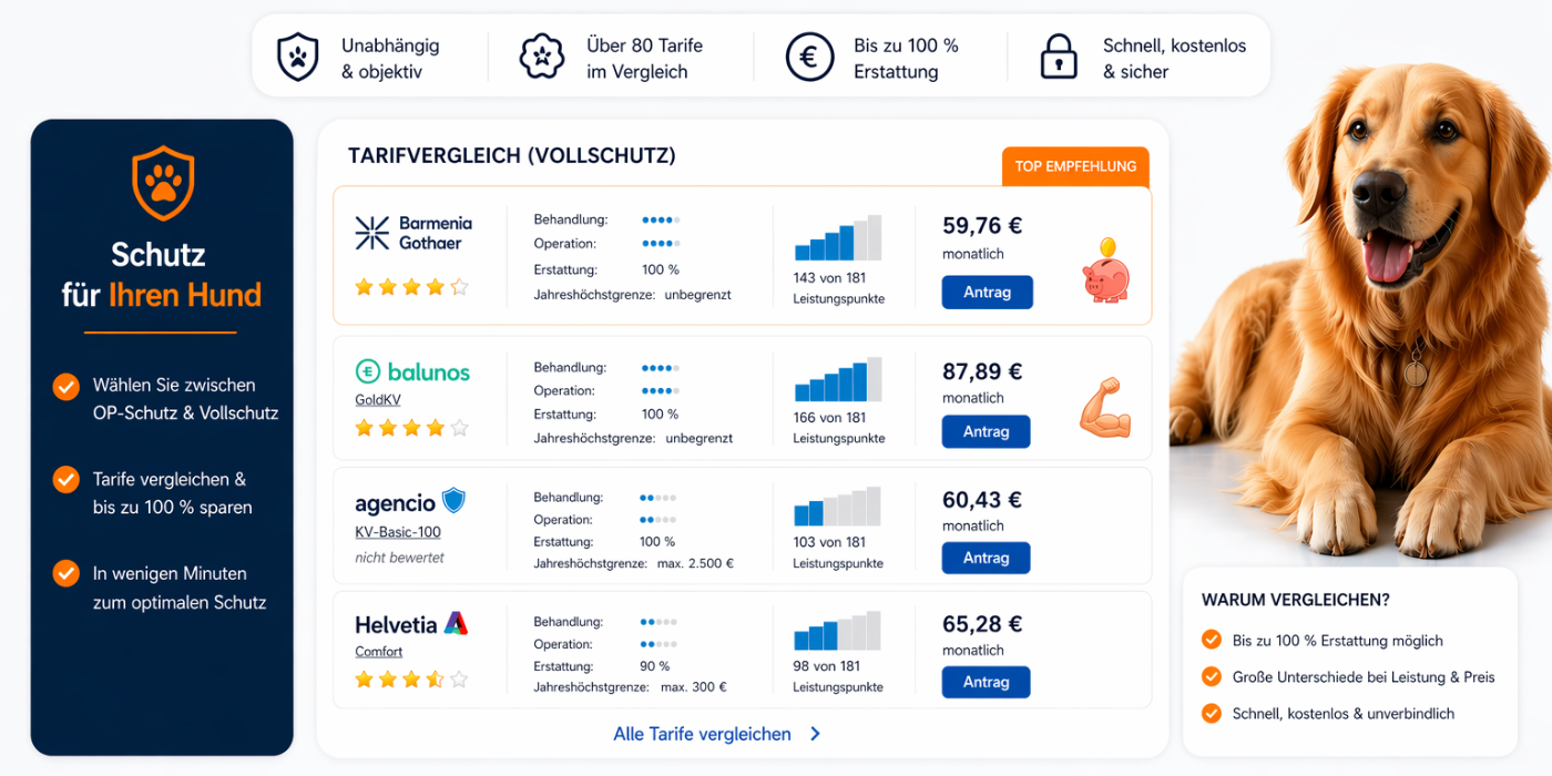 hundekrankenversicherung tarifmerkmale live rechner